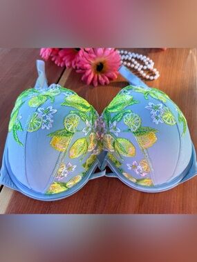 Victoria's Secret Dream Angels Embroidered Floral Citrus Lace Bra 34DDD
